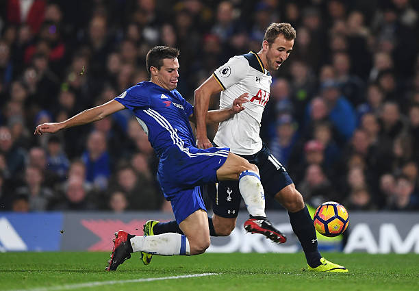 从众多类似 从众多类似